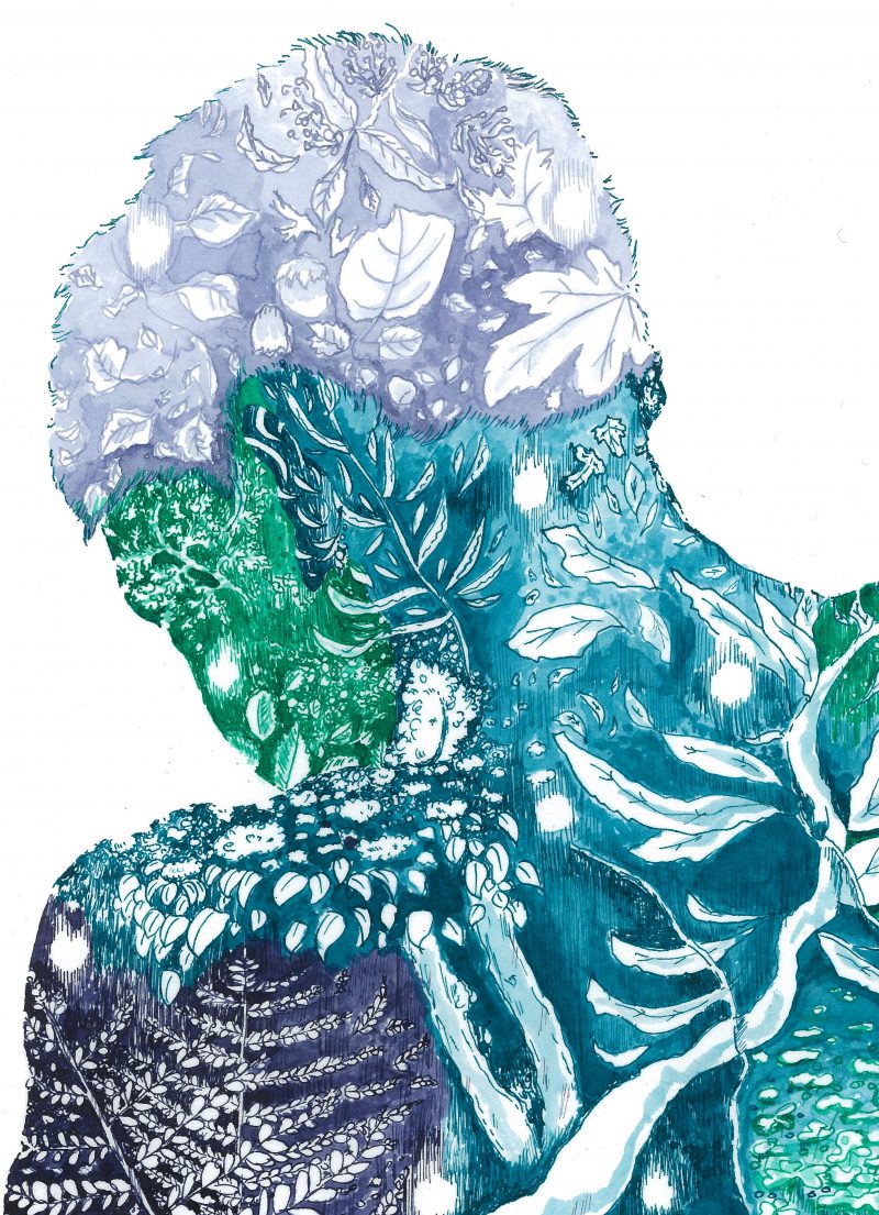 Illustration in colors of greens and blues, seeing a shape of a torso and face filled with plants