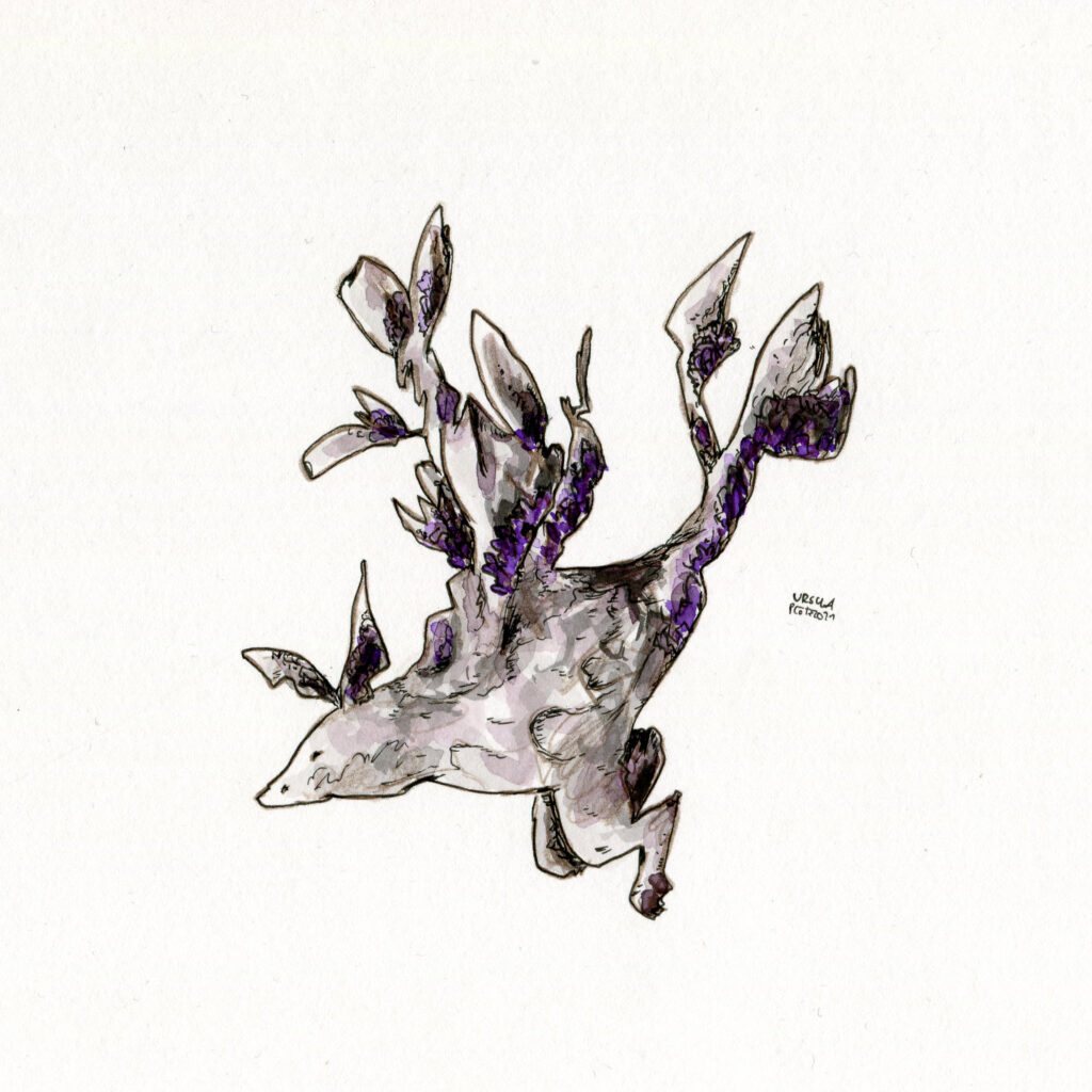 Dragon drawn with brown coloured pencils, inks (grey, brown, purple) and black fineliner