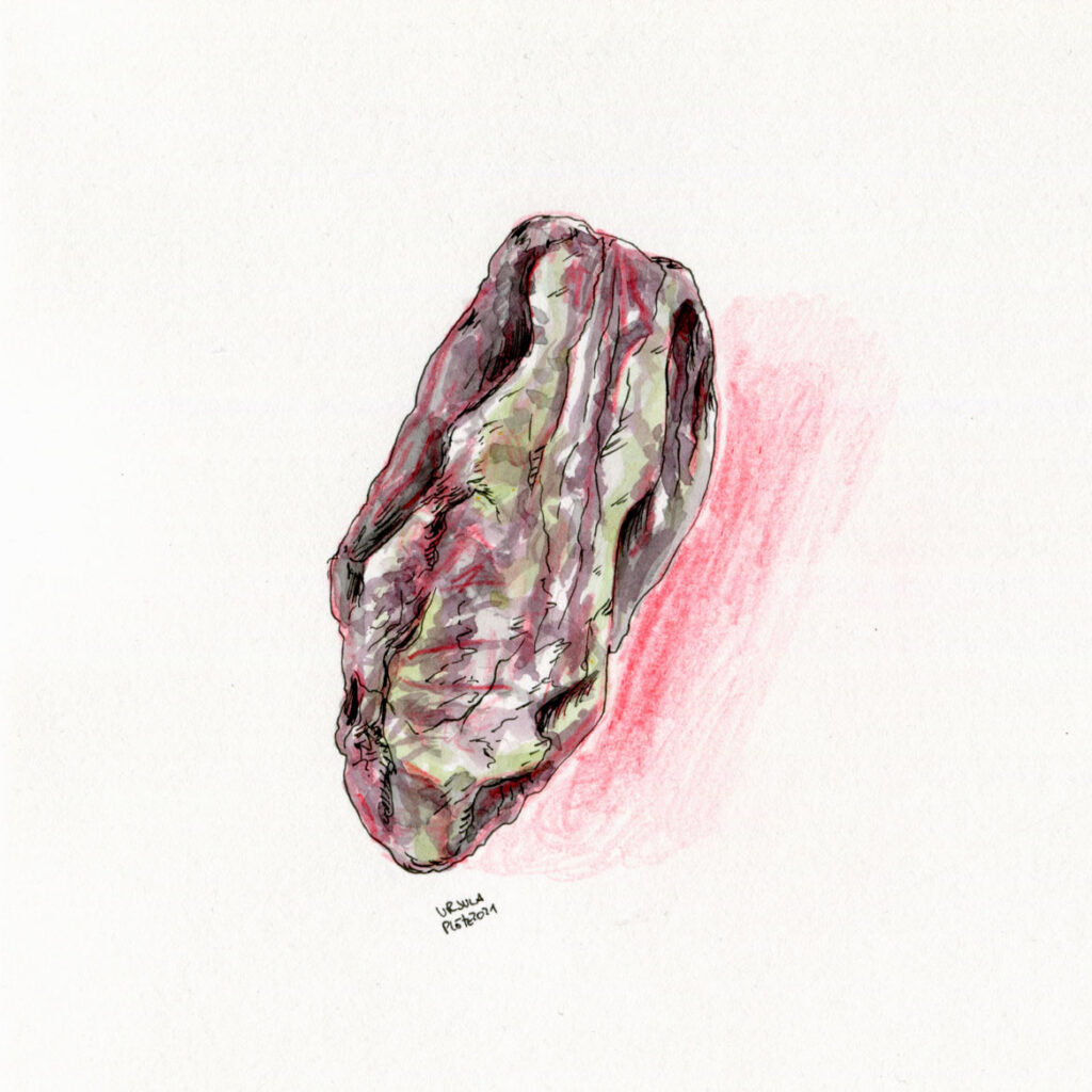 Stone drawn with redcoloured pencils, inks (grey, brown, light green) and black fineliner