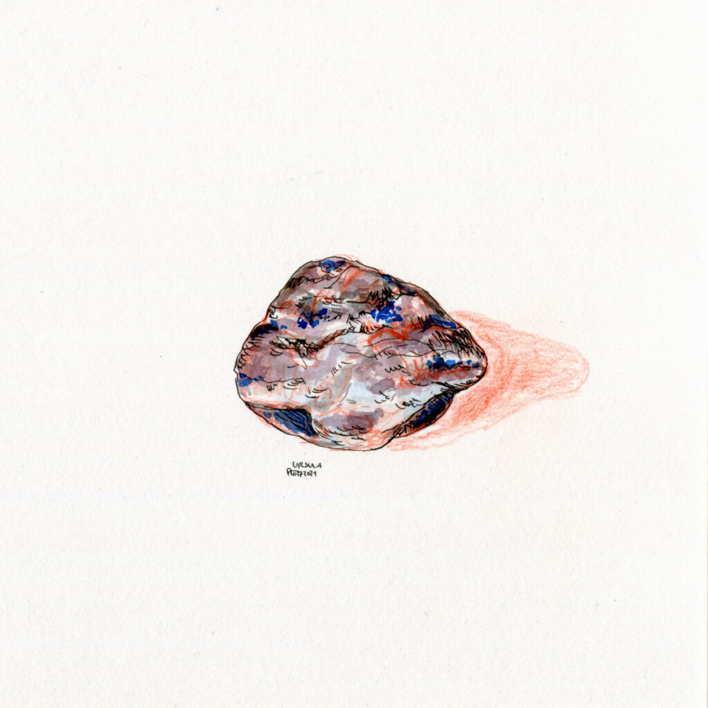 Stone drawn with red coloured pencils, inks (grey, brown, blue) and black fineliner