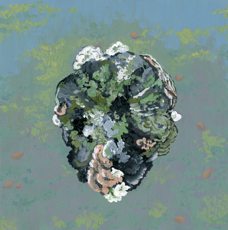 Gouache painting of a tree stump from bird's eye view with many mushrooms and textures