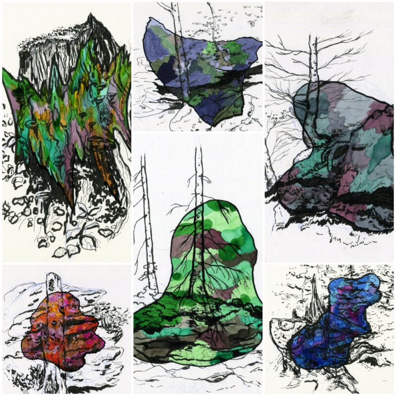 Collage of 6 drawings with mini landscapes (mainly trees, tree stumps and stones) and colourful ink blobs on them
