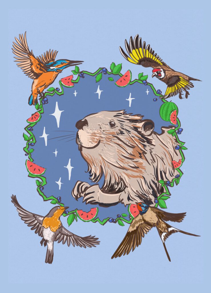 Portrait of a beaver, surrounded by 4 birds (kingfisher, european goldfinch, robin and barn swallow) and a ring of small melons and blueberrys