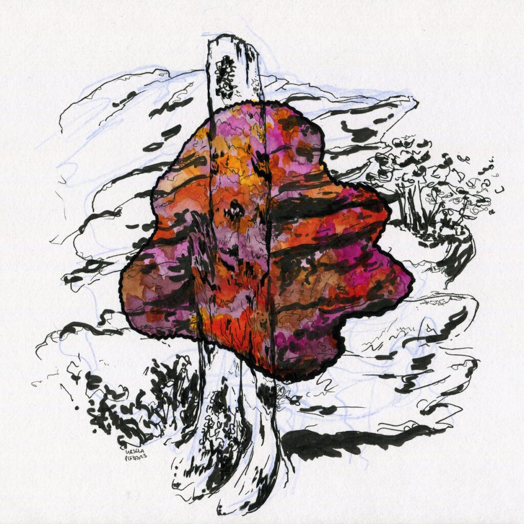 Black pencil drawing of a tree stump in front of a stony constellation, on it a colored blob in various shades of yellow, pink and purple brown with some black areas in the middle