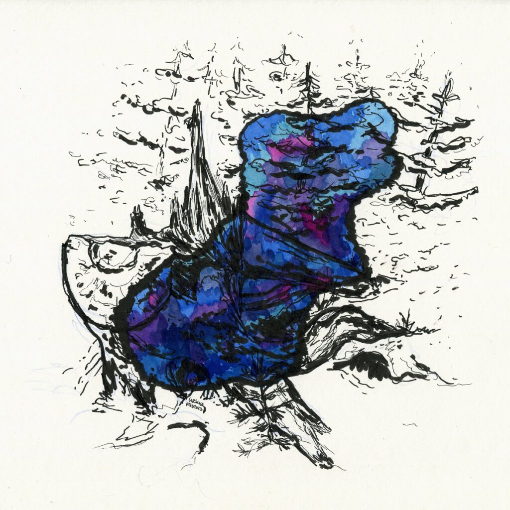 Black pencil drawing of a fallen tree and more trees in the backgroud, on it a colored blob in various shades of blue, purple-pink and turquoise with some black areas in the middle