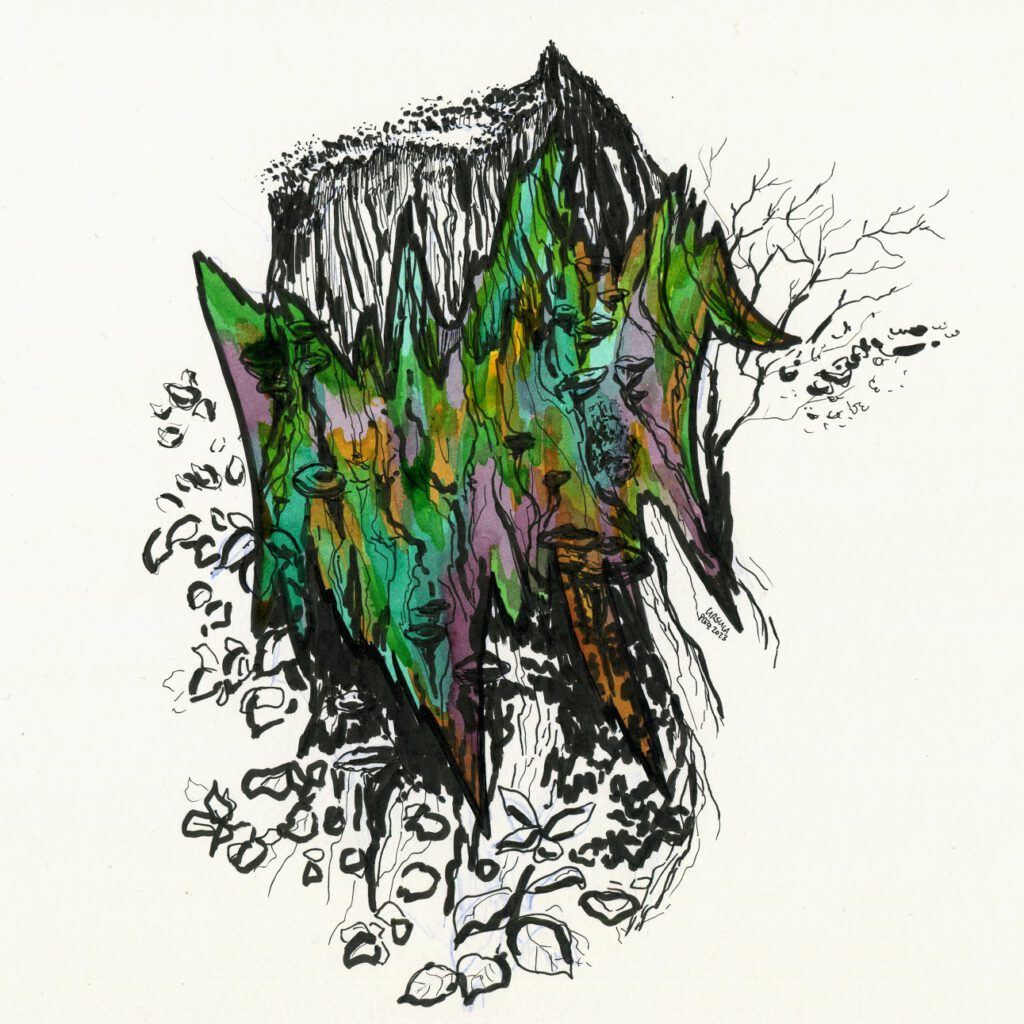 Black pencil drawing of a tree stump and some mushrooms on it, on it a colored blob in various shades of green, brown and yellow with some black areas in the middle