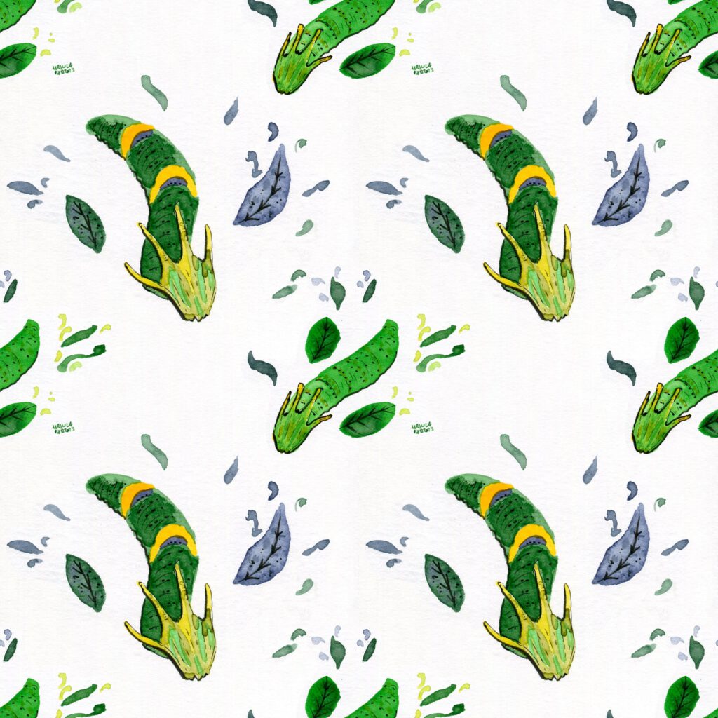Repeating pattern of dragon caterpillars in it in ink shades of green, blueish green and yellow and some leaves