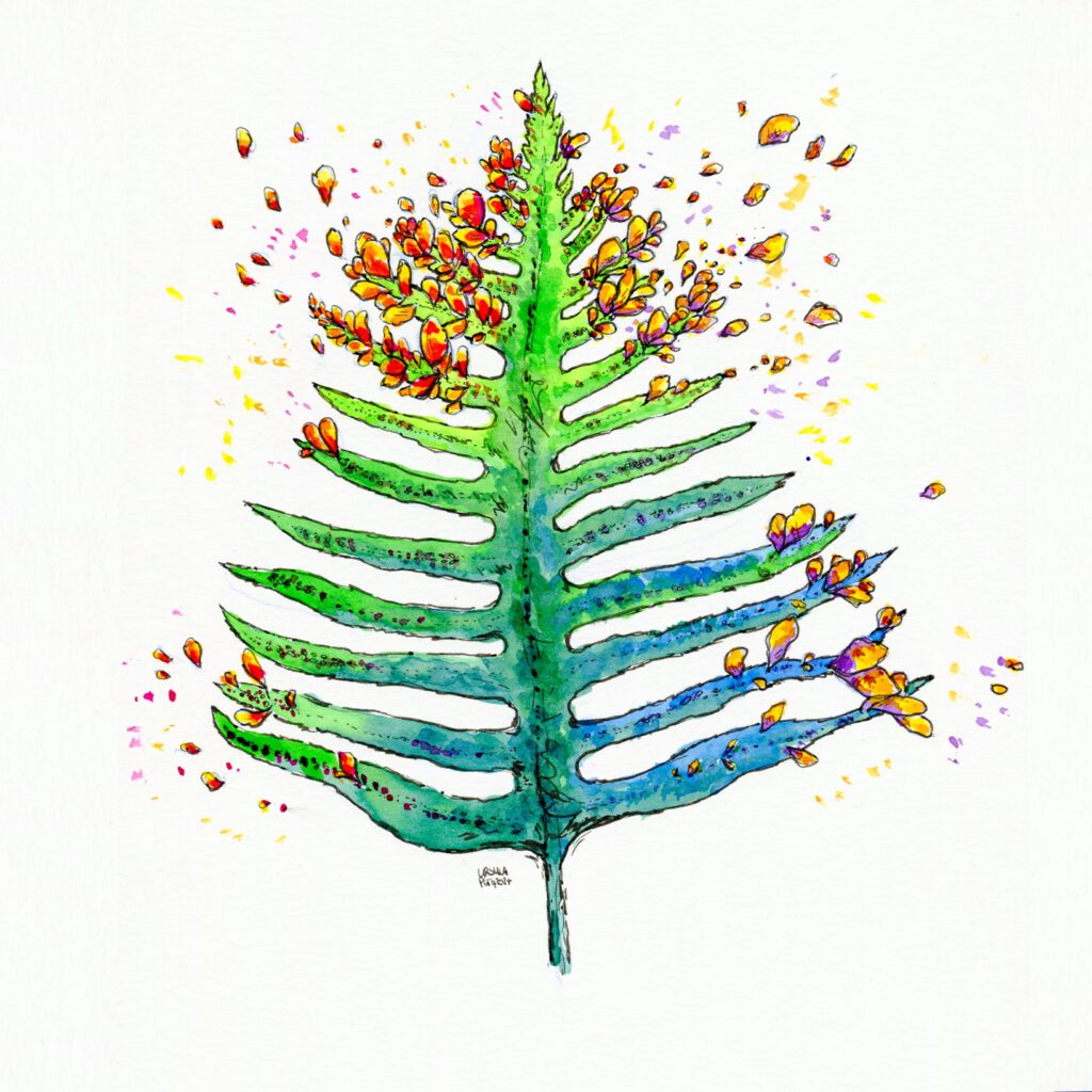 Ink drawing of Woodwardia orientalis or Oriental Chain Fern in glowing lime green to blue-green tones for the main frond and yellow to orange and pink or violet tones for the small leaves with black outlining