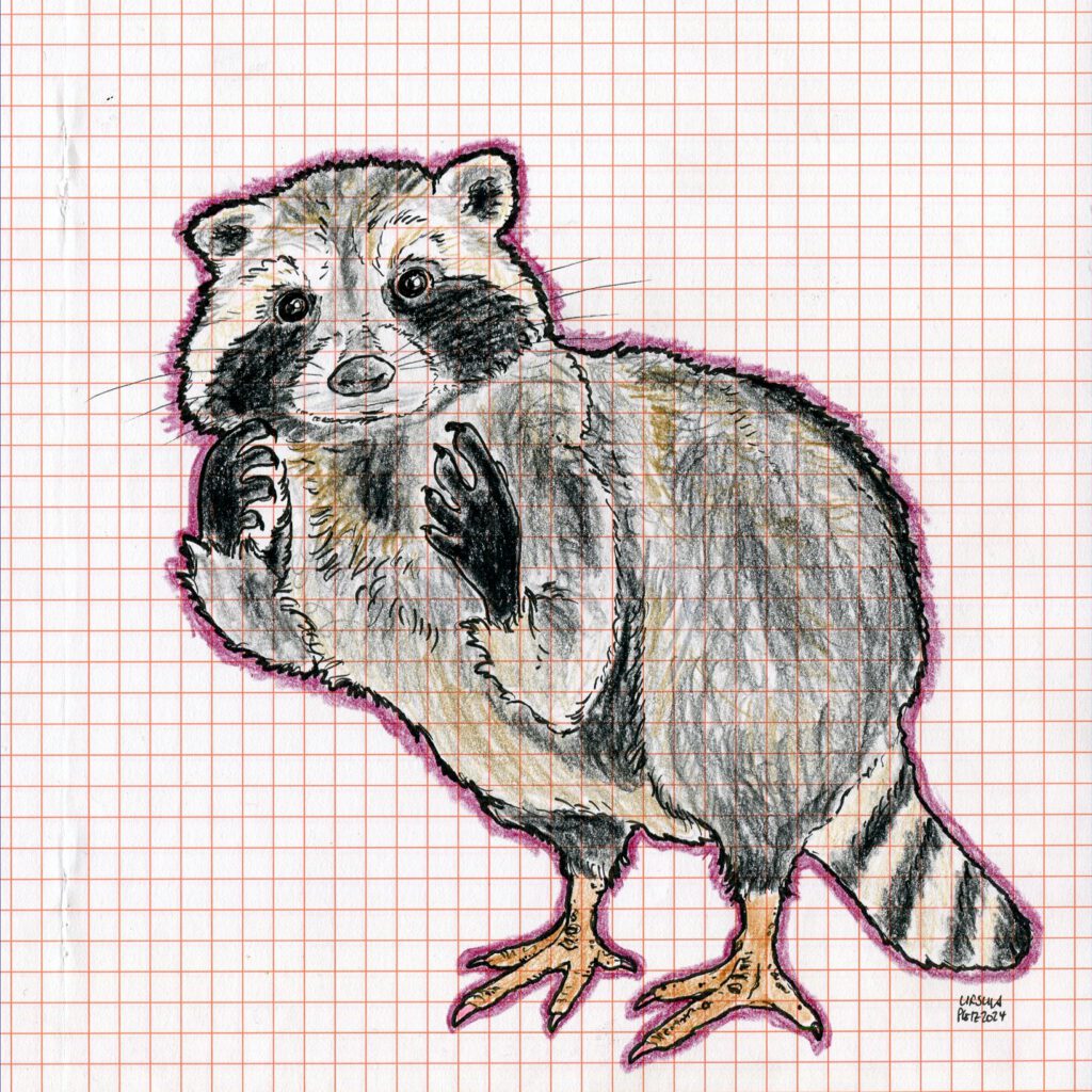 Drawing of a racoon with chicken feet, coloured with crayons and black outlining on orange checkered paper