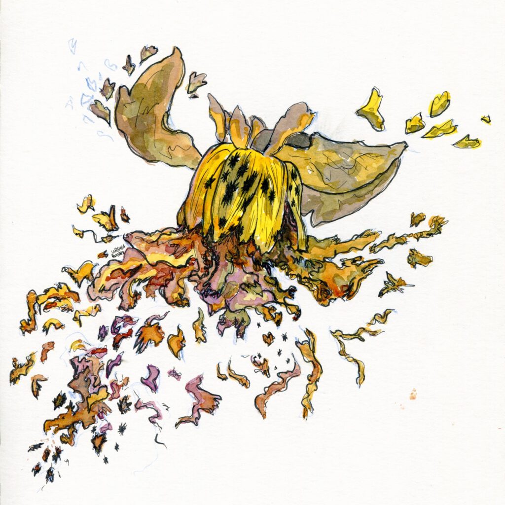 Ink drawing of a dahlia blosson with flames flying out of it in shades of yellow and reddish brown with black outlining