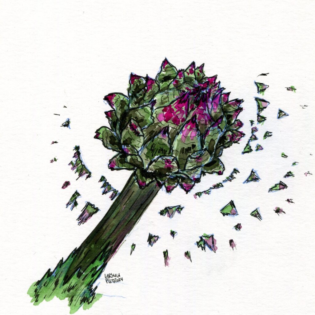 Ink drawing of a closed artichoke thistle with small teeth like triangles flying out arount it in shades of pink and dark green with black outlining