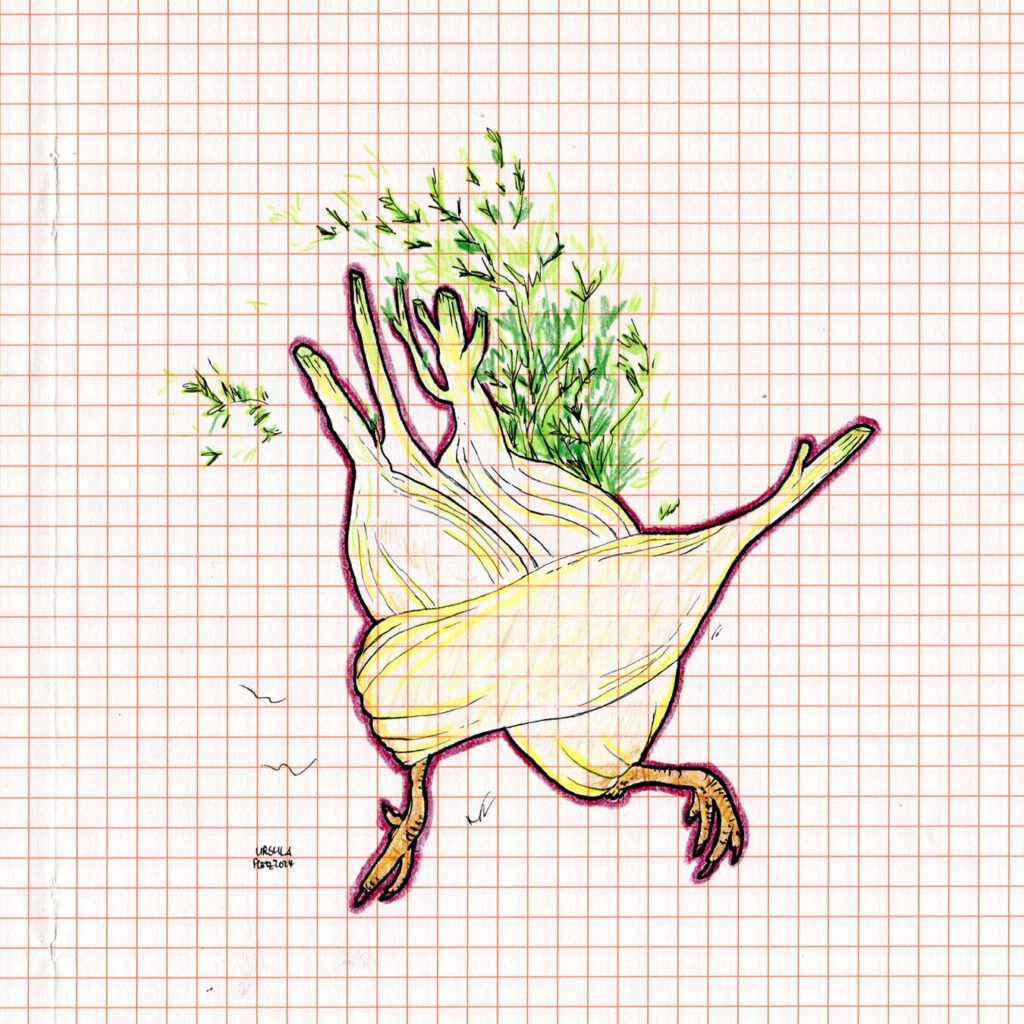 Drawing of a running fennel with chicken feet coloured with crayons and black outlining on orange checkered paper