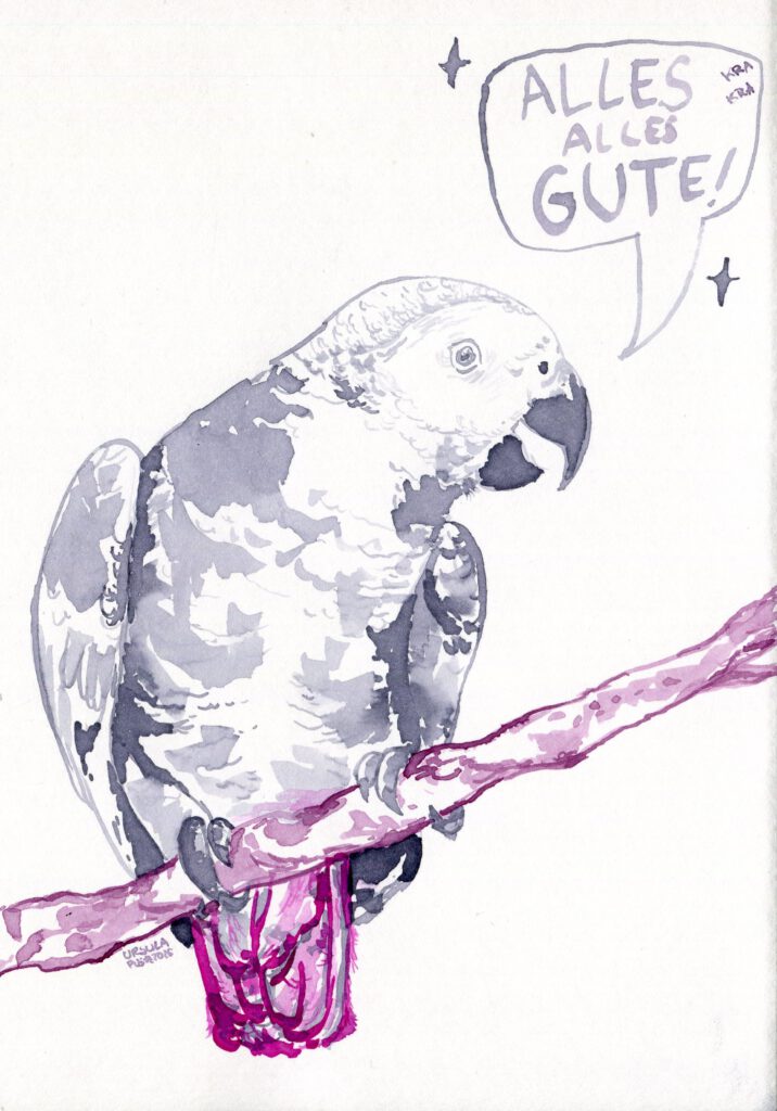 A grey parrot sitting on a branch wishing you all the best