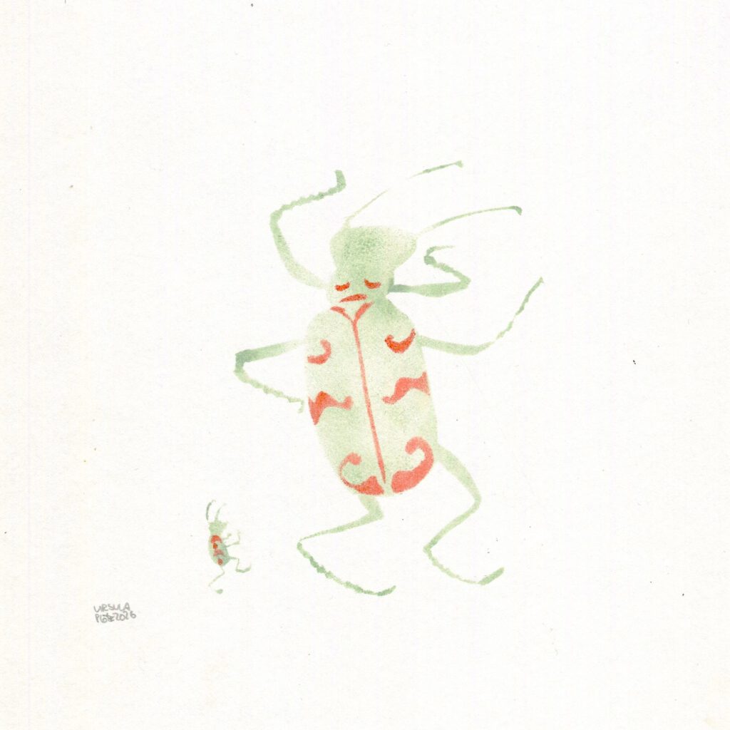 A northern dune tiger beetle dancing with a small beetle dancing by its side, in olive green and red highlights on plain paper