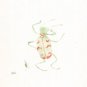 A northern dune tiger beetle dancing with a small beetle dancing by its side, in olive green and red highlights on plain paper