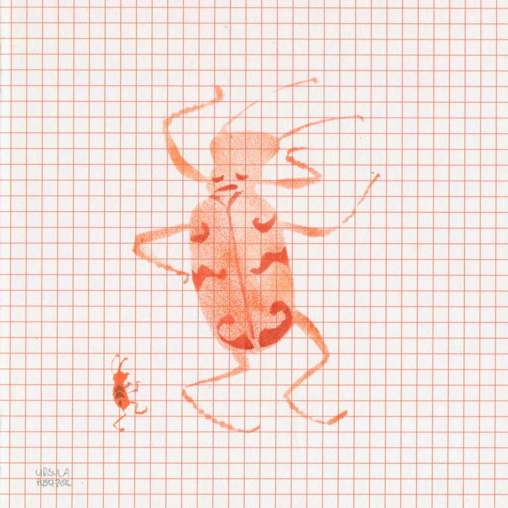 A northern dune tiger beetle dancing with a small beetle dancing by its side, in bright orange and red highlights on orange checkered paper
